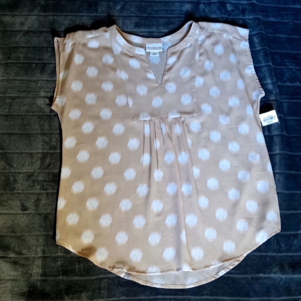 Liz Claiborne Beige and Cream Sleeveless Sheer Top